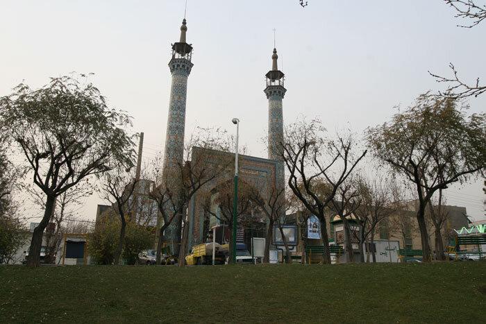 درخت 700 ساله باغ فیض درخت 700 ساله باغ فیض