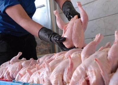 کاهش قیمت مرغ تازه در میادین میوه و تره بار