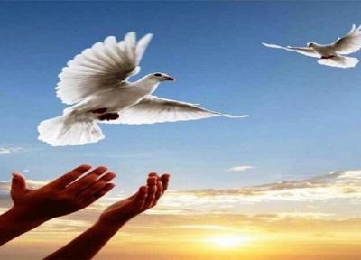 10 نفر از زندانیان جرایم غیرعمد سیستان و بلوچستان آزاد شدند