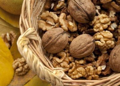 گردو؛ غنی ترین آجیل