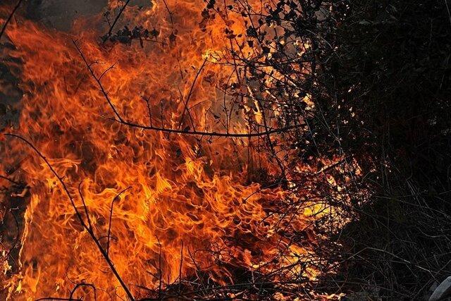 مهار آتش سوزی در منطقه پیروزگ شهرستان بویراحمد مهار آتش سوزی در منطقه پیروزگ شهرستان بویراحمد