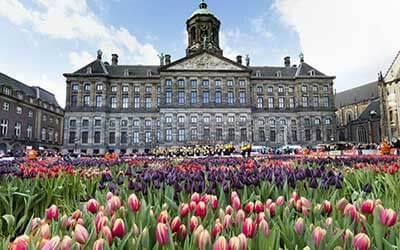 تور ارزان هلند: برترین دانشگاه های هلند برای تحصیل